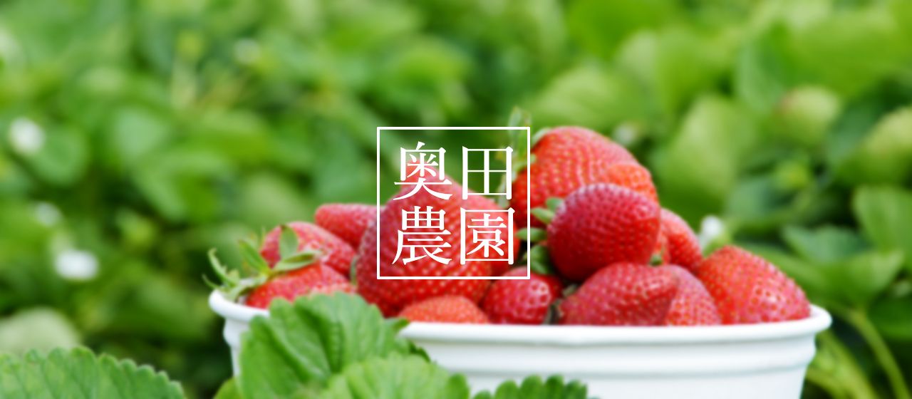 信州茅野 奥田農園 – 夏いちご・いちご苗の生産