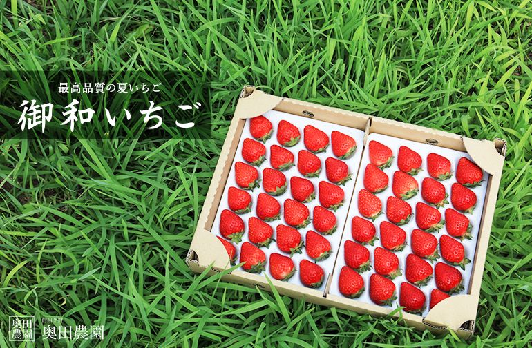 奥田農園の「御和いちご」