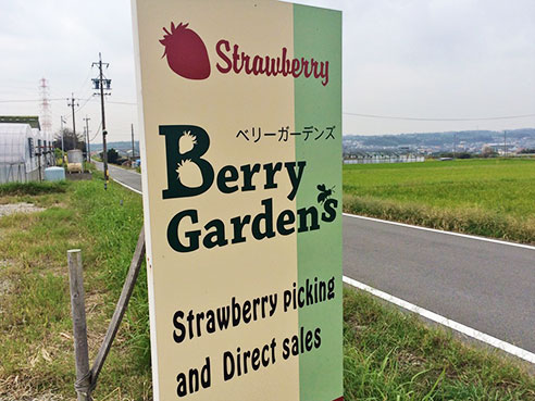 Berry Garden’s